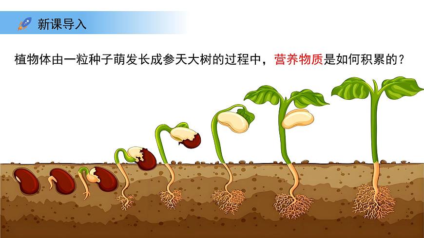 4.11.1 植物的光合作用 课件 生物苏教版（2024）七年级下册第4单元第3页