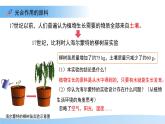 4.11.1 植物的光合作用 課件 生物蘇教版（2024）七年級(jí)下冊第4單元