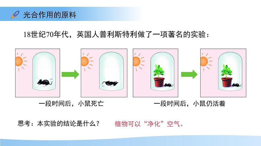 4.11.1 植物的光合作用 课件 生物苏教版（2024）七年级下册第4单元第5页