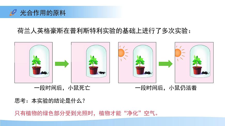 4.11.1 植物的光合作用 课件 生物苏教版（2024）七年级下册第4单元第6页