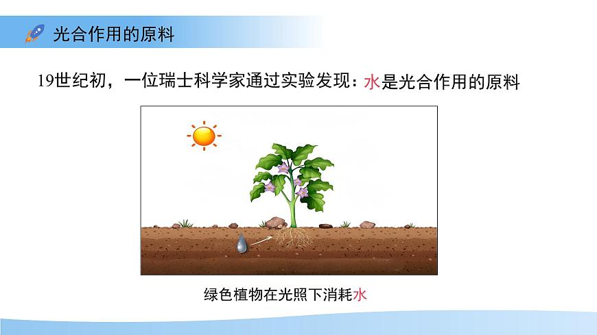 4.11.1 植物的光合作用 课件 生物苏教版（2024）七年级下册第4单元第8页