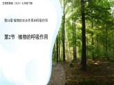 4.11.2植物的呼吸作用 課件 生物蘇教版（2024）七年級下冊第4單元