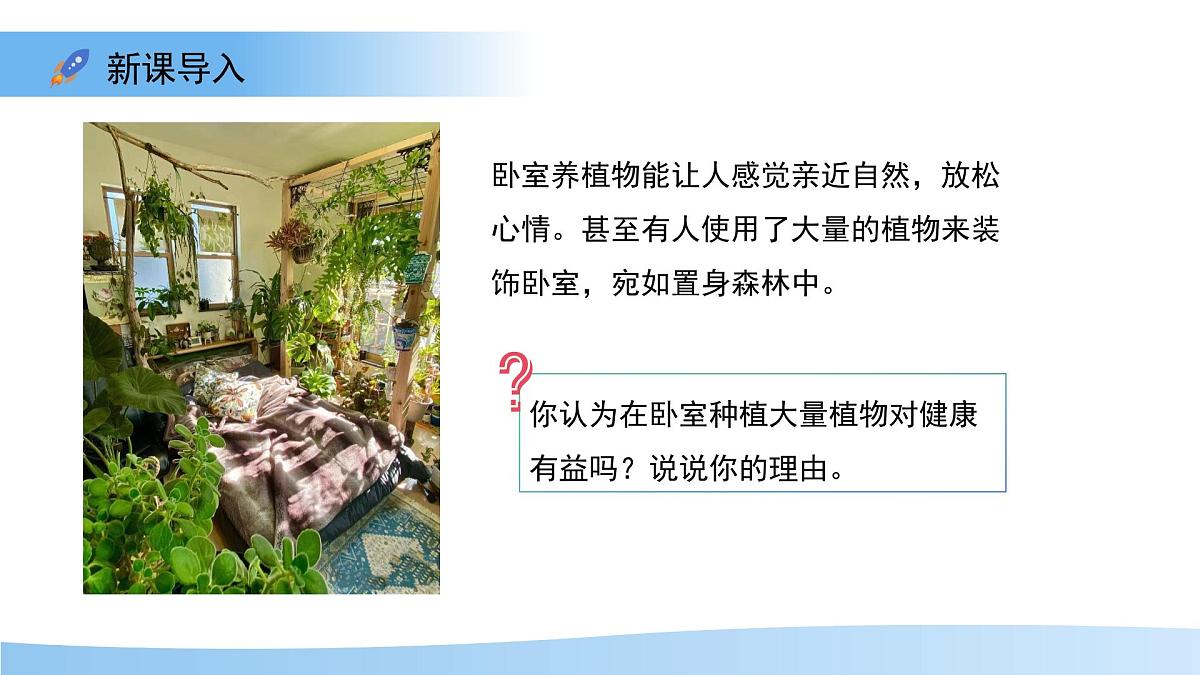 4.11.2植物的呼吸作用 课件 生物苏教版（2024）七年级下册第4单元第3页