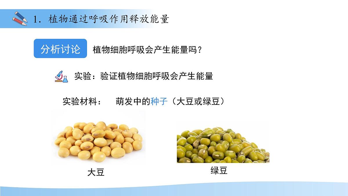 4.11.2植物的呼吸作用 课件 生物苏教版（2024）七年级下册第4单元第5页