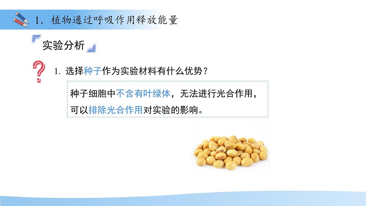 4.11.2植物的呼吸作用 课件 生物苏教版（2024）七年级下册第4单元第7页