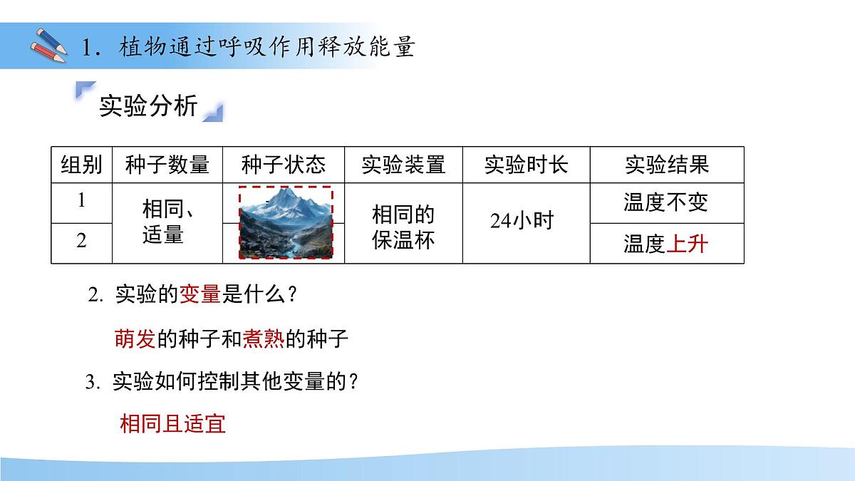 4.11.2植物的呼吸作用 课件 生物苏教版（2024）七年级下册第4单元第8页