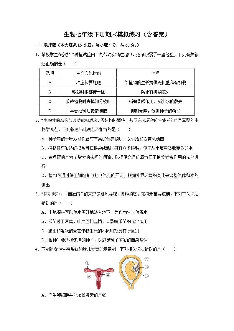 2024-2025学年人教版生物七年级下册期末模拟练习（含答案）第1页