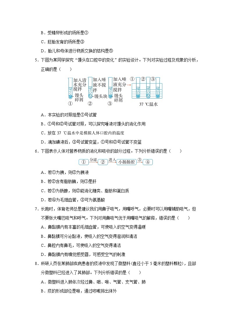 2024-2025学年人教版生物七年级下册期末模拟练习（含答案）第2页