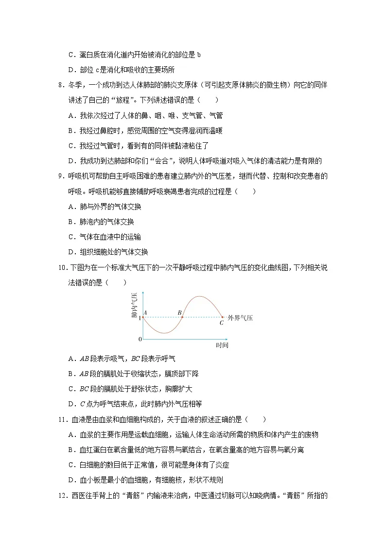 生物七年级下学期期末复习练习（人教版）第3页