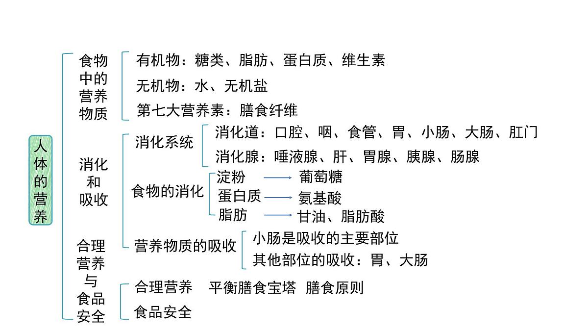 第四单元第二章 人体的营养 章综合复习 课件 生物人教版（2024）七年级下册第2页