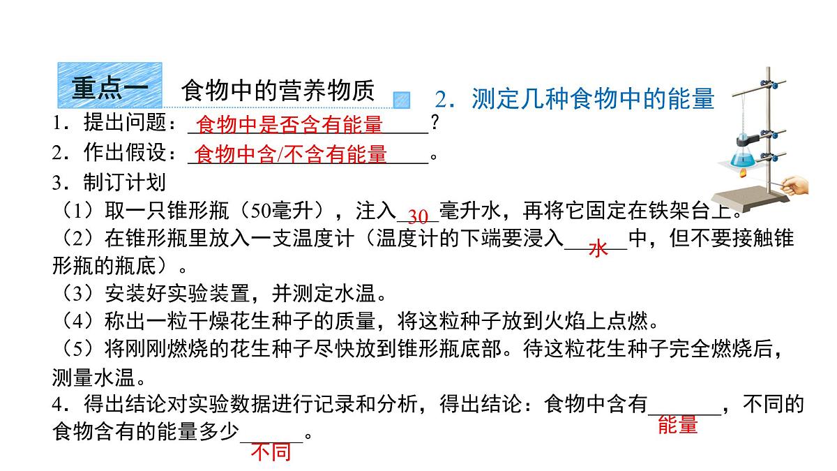 第四单元第二章 人体的营养 章综合复习 课件 生物人教版（2024）七年级下册第4页