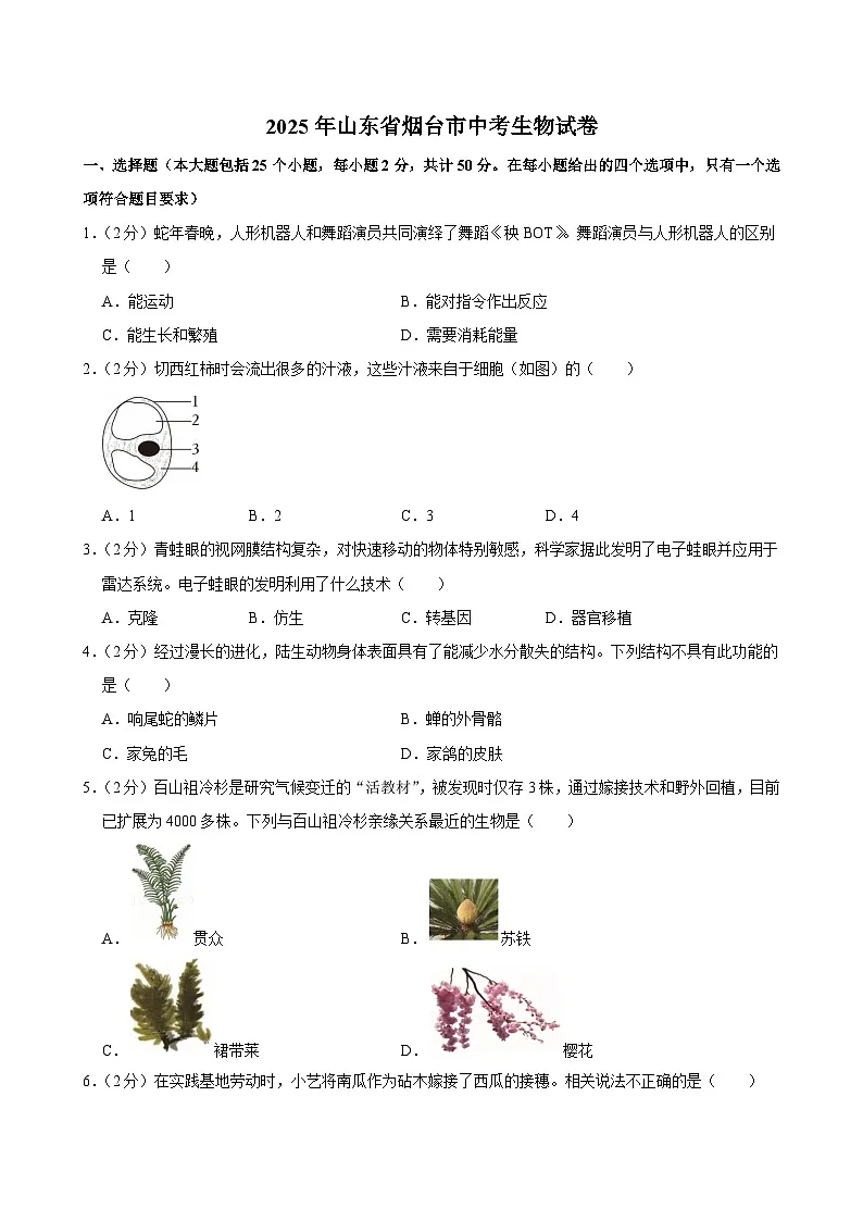 2025年山东省烟台市中考生物试卷及答案第1页