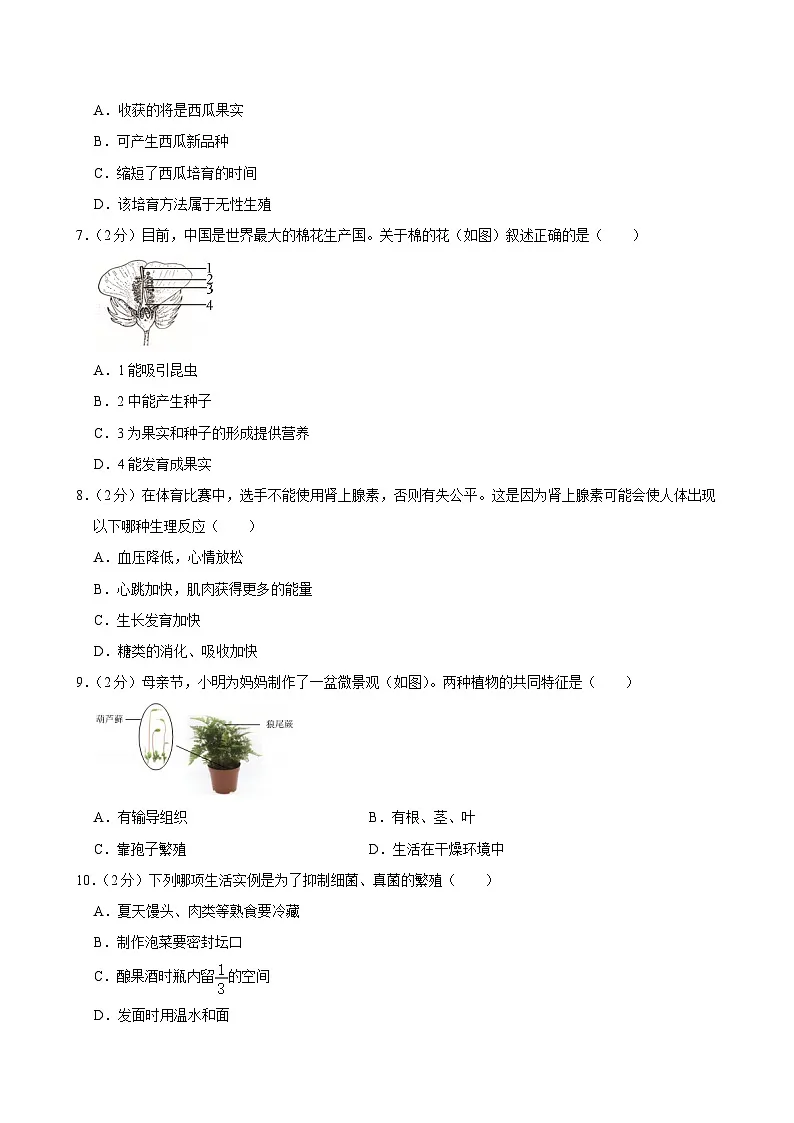 2025年山东省烟台市中考生物试卷及答案第2页