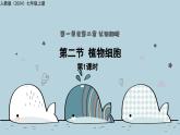 1.2.2植物细胞 第1课时（教学课件）——初中生物人教版（2024）七年级上册课件