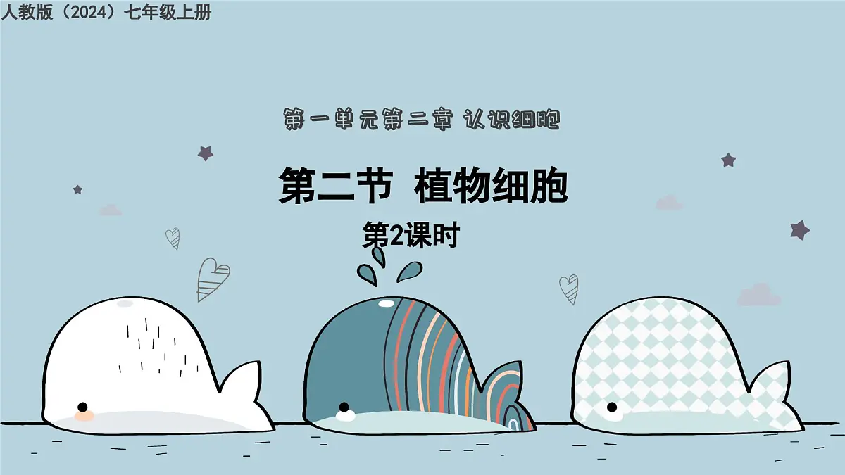1.2.2植物细胞 第2课时（教学课件）——初中生物人教版（2024）七年级上册课件第1页