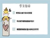 1.2.2植物細(xì)胞 第2課時(shí)（教學(xué)課件）——初中生物人教版（2024）七年級(jí)上冊(cè)課件