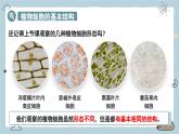 1.2.2植物細(xì)胞 第2課時(shí)（教學(xué)課件）——初中生物人教版（2024）七年級(jí)上冊(cè)課件