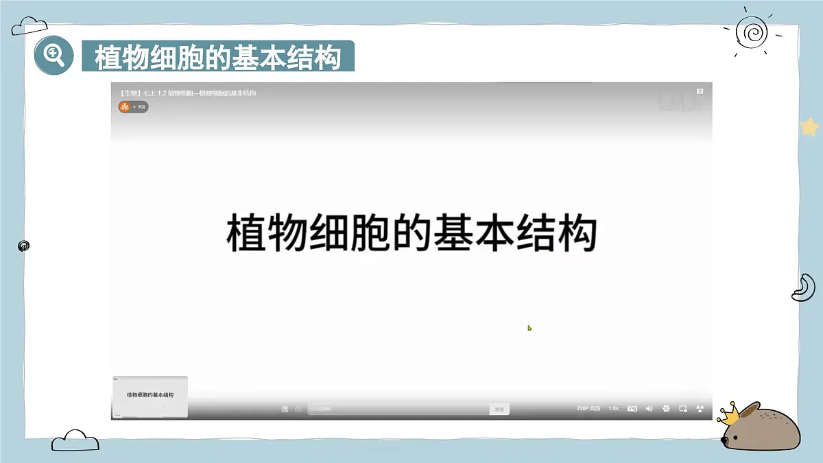 1.2.2植物细胞 第2课时（教学课件）——初中生物人教版（2024）七年级上册课件第6页