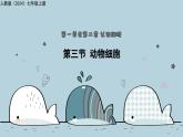 1.2.3動(dòng)物細(xì)胞（教學(xué)課件）——初中生物人教版（2024）七年級(jí)上冊(cè)課件