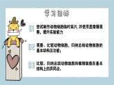 1.2.3動(dòng)物細(xì)胞（教學(xué)課件）——初中生物人教版（2024）七年級(jí)上冊(cè)課件