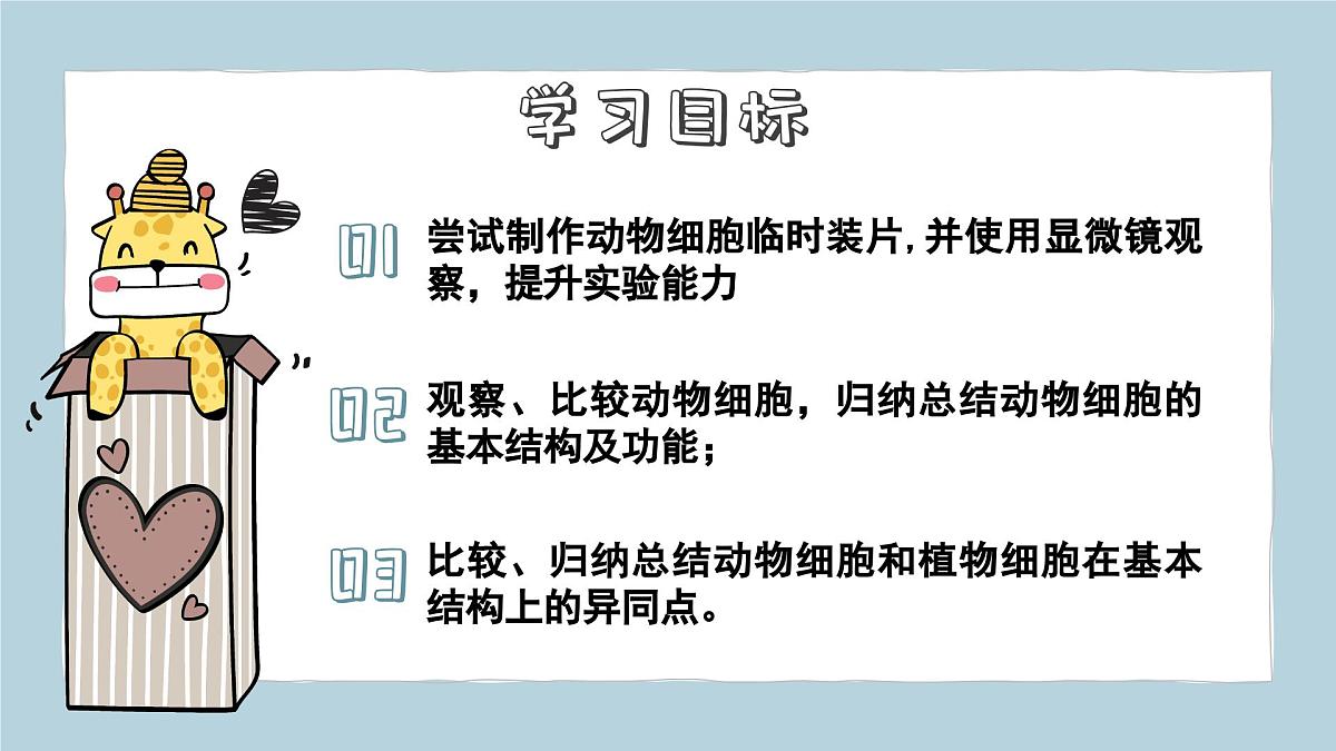 1.2.3动物细胞（教学课件）——初中生物人教版（2024）七年级上册课件第2页