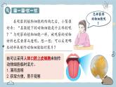 1.2.3動(dòng)物細(xì)胞（教學(xué)課件）——初中生物人教版（2024）七年級(jí)上冊(cè)課件