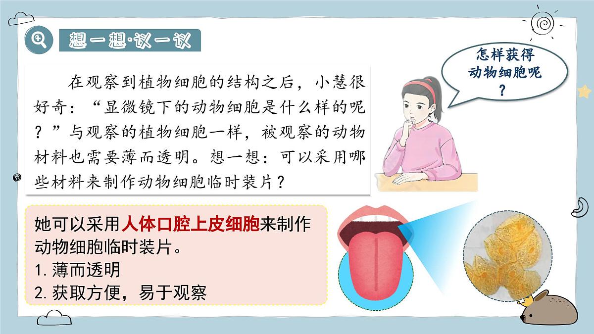 1.2.3动物细胞（教学课件）——初中生物人教版（2024）七年级上册课件第3页