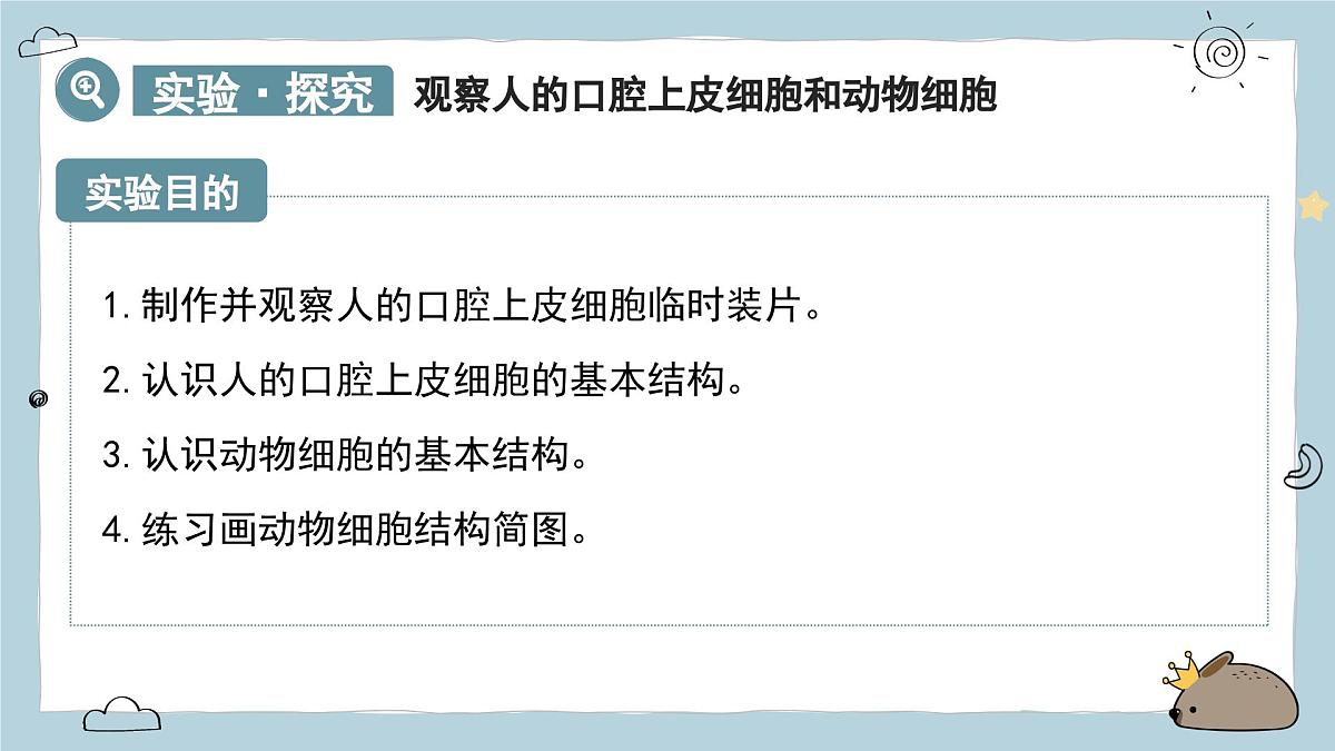 1.2.3动物细胞（教学课件）——初中生物人教版（2024）七年级上册课件第4页