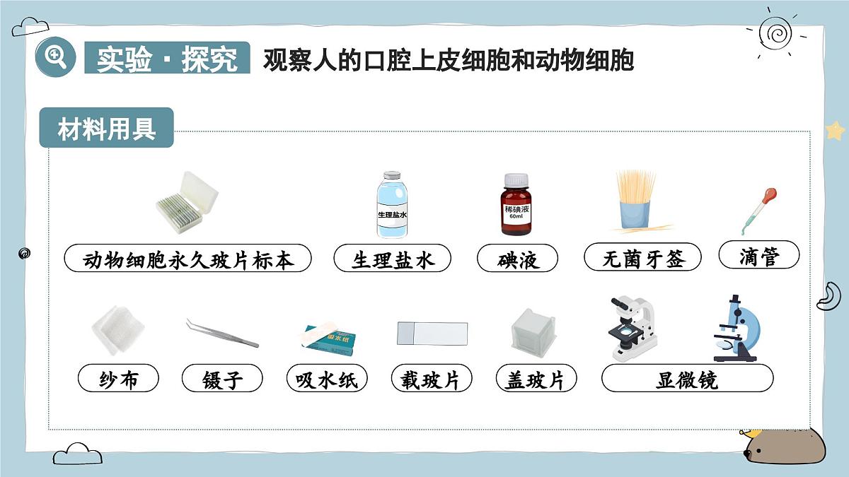 1.2.3动物细胞（教学课件）——初中生物人教版（2024）七年级上册课件第5页