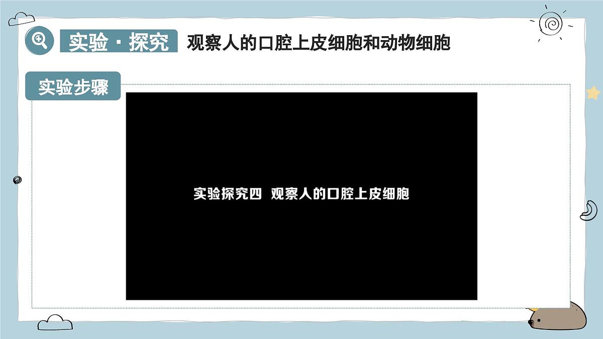 1.2.3动物细胞（教学课件）——初中生物人教版（2024）七年级上册课件第7页