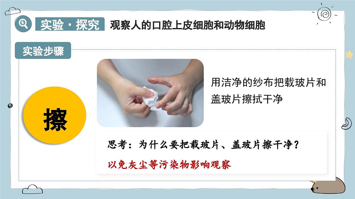 1.2.3动物细胞（教学课件）——初中生物人教版（2024）七年级上册课件第8页