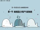 1.3.1细胞通过分裂产生新细胞（教学课件）——初中生物人教版（2024）七年级上册课件