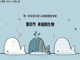 1.3.4单细胞生物（教学课件）——初中生物人教版（2024）七年级上册课件