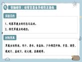 1.3.4单细胞生物（教学课件）——初中生物人教版（2024）七年级上册课件