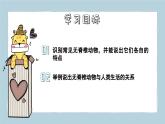 2.2.1無(wú)脊椎動(dòng)物 第1課時(shí)（教學(xué)課件）——初中生物人教版（2024）七年級(jí)上冊(cè)課件
