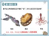2.2.1無(wú)脊椎動(dòng)物 第1課時(shí)（教學(xué)課件）——初中生物人教版（2024）七年級(jí)上冊(cè)課件