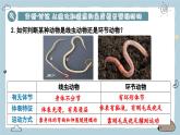 2.2.1無(wú)脊椎動(dòng)物 第2課時(shí)（教學(xué)課件）——初中生物人教版（2024）七年級(jí)上冊(cè)課件
