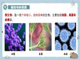 2.3.1微生物的分布（教学课件）——初中生物人教版（2024）七年级上册课件