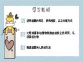 2.3.2細(xì)菌（教學(xué)課件）——初中生物人教版（2024）七年級上冊課件