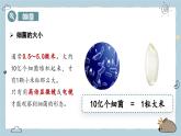 2.3.2細(xì)菌（教學(xué)課件）——初中生物人教版（2024）七年級上冊課件