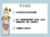 2.3.3真菌（教學(xué)課件）——初中生物人教版（2024）七年級(jí)上冊(cè)課件