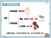 2.3.3真菌（教學(xué)課件）——初中生物人教版（2024）七年級(jí)上冊(cè)課件