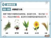 2.4.1嘗試對生物進(jìn)行分類（教學(xué)課件）——初中生物人教版（2024）七年級(jí)上冊課件