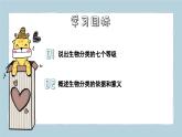 2.4.2從種到界（教學課件）——初中生物人教版（2024）七年級上冊課件