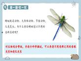 2.4.2從種到界（教學課件）——初中生物人教版（2024）七年級上冊課件