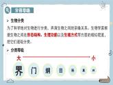 2.4.2從種到界（教學課件）——初中生物人教版（2024）七年級上冊課件
