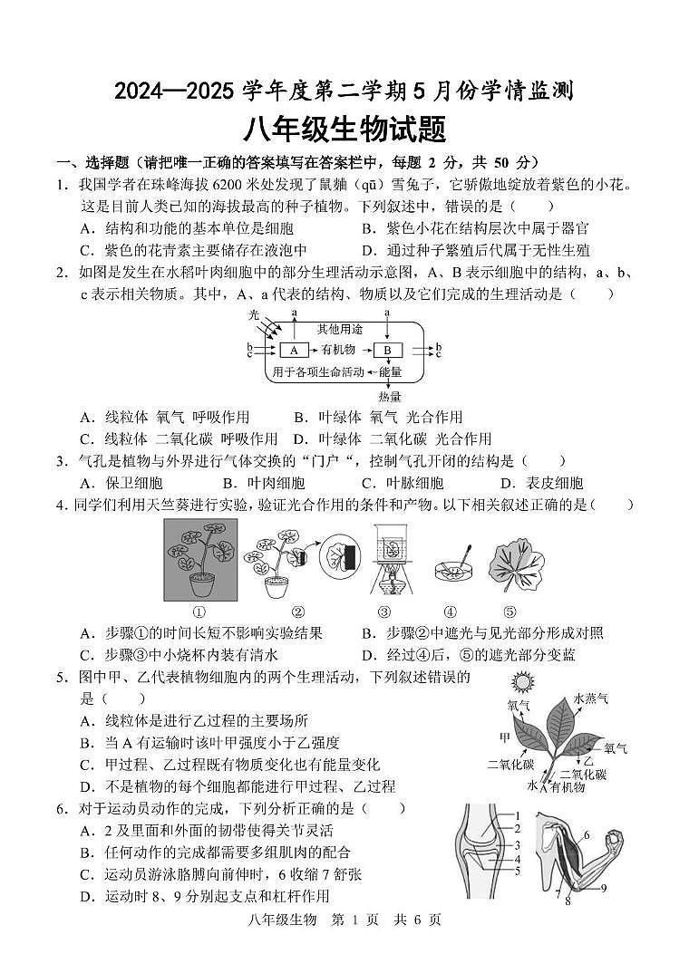 山东省济宁市金乡县2024-2025学年八年级下学期5月份月考生物试题第1页