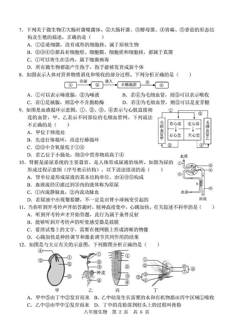 山东省济宁市金乡县2024-2025学年八年级下学期5月份月考生物试题第2页