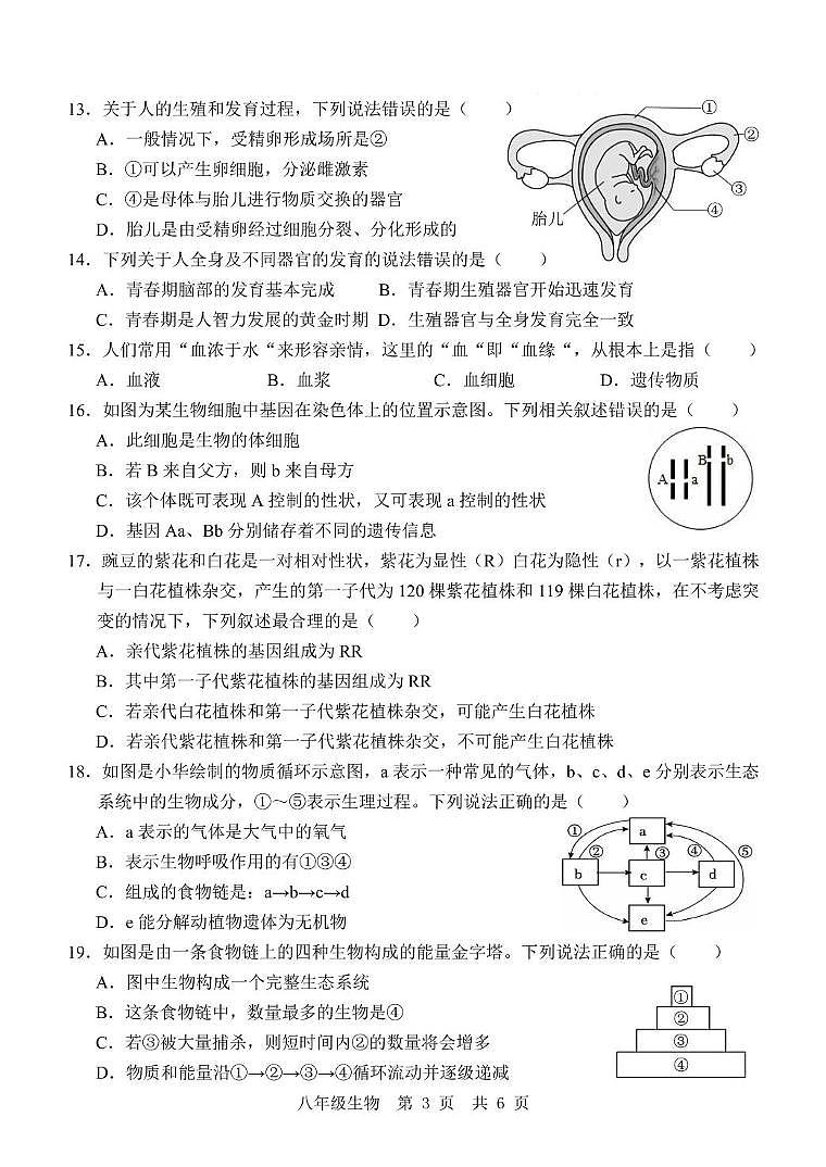 山东省济宁市金乡县2024-2025学年八年级下学期5月份月考生物试题第3页