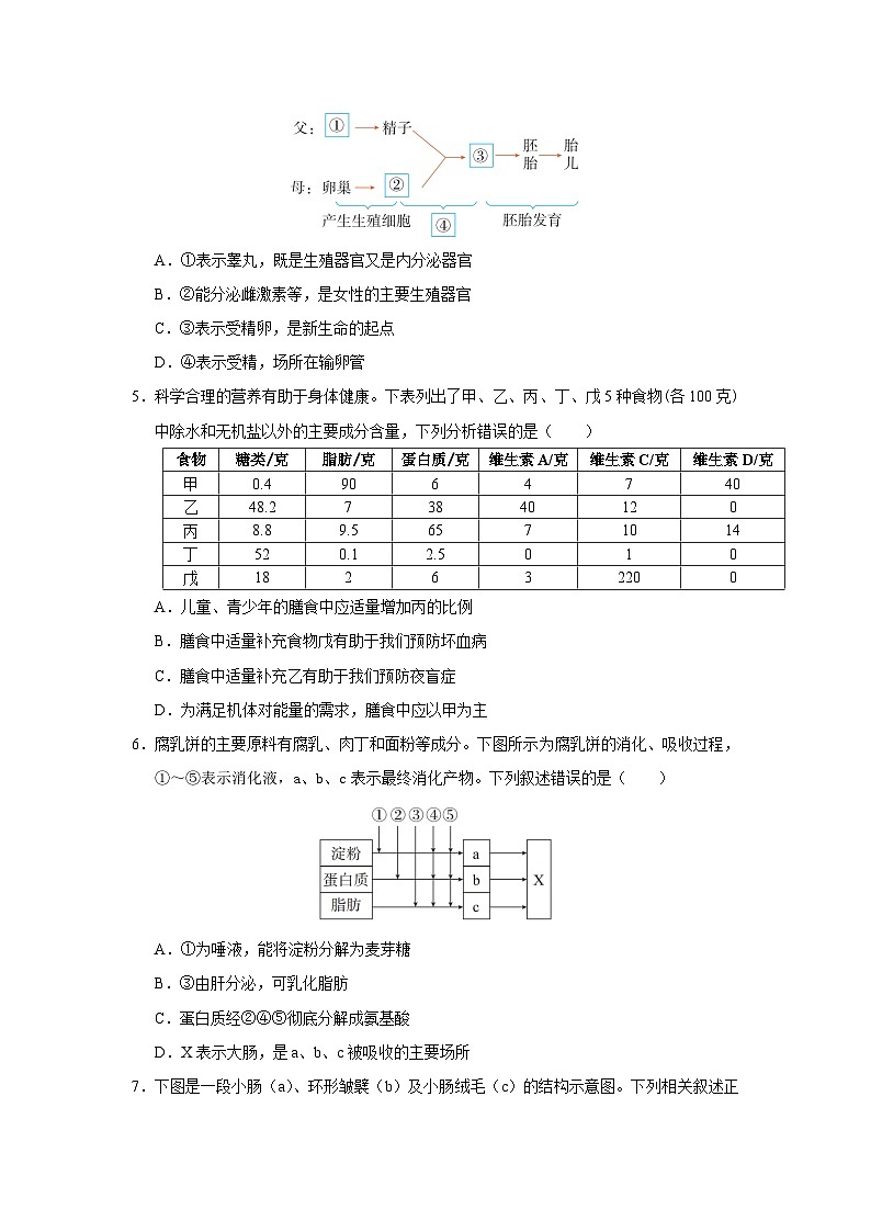 2024-2025学年人教版生物七年级下册期末模拟练习（含答案）第2页